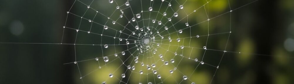 kraften i fullständig helhet